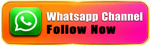 WhatsApp Channel